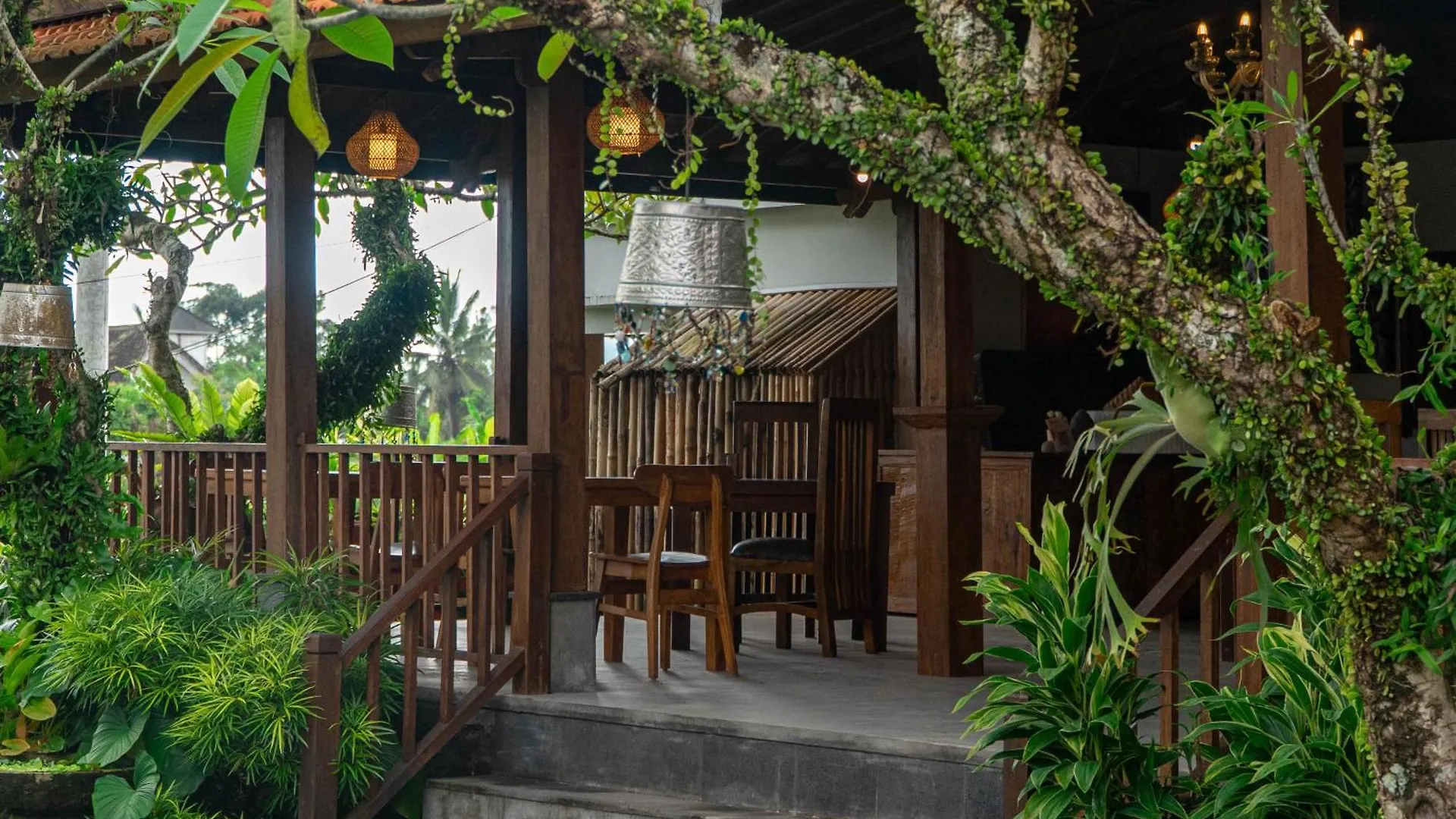 Guest house Pemulan House Hotel Ubud  Indonesia